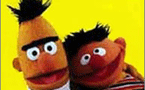bert and ernie in new gay row
