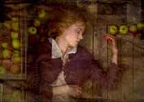 Dogville