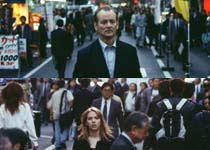 Lost in Translation