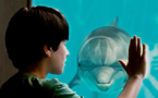 Dolphin Tale