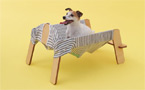 Kennel club: Japan's Kenya Hara launches Architecture for Dogs