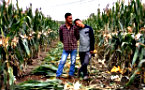 Online Media Draws Attention to Trials and Triumphs of Gay Couple in Rural China
