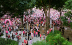 Singapore bans foreign funding of Pink Dot
